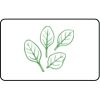  Name Badge Thumbnail