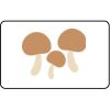  Name Badge Thumbnail