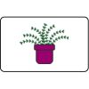  Name Badge Thumbnail