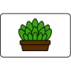  Name Badge Thumbnail
