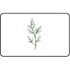  Name Badge Thumbnail
