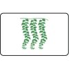  Name Badge Thumbnail
