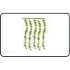  Name Badge Thumbnail
