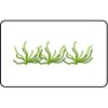  Name Badge Thumbnail