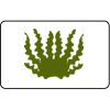  Name Badge Thumbnail