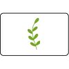  Name Badge Thumbnail