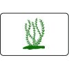  Name Badge Thumbnail