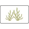  Name Badge Thumbnail