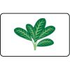  Name Badge Thumbnail