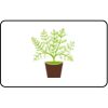  Name Badge Thumbnail