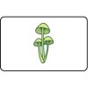  Name Badge Thumbnail