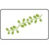  Name Badge Thumbnail