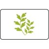  Name Badge Thumbnail