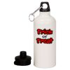 20 oz Aluminum Water Bottle with Carabiner Thumbnail