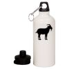 20 oz Aluminum Water Bottle with Carabiner Thumbnail