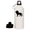 20 oz Aluminum Water Bottle with Carabiner Thumbnail