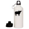20 oz Aluminum Water Bottle with Carabiner Thumbnail