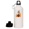 20 oz Aluminum Water Bottle with Carabiner Thumbnail