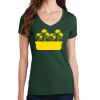 Women's V-Neck Tee Thumbnail