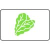 Name Badge Thumbnail