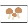 Name Badge Thumbnail