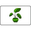 Name Badge Thumbnail
