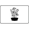 Name Badge Thumbnail