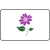 Name Badge Thumbnail