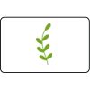 Name Badge Thumbnail