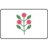 Name Badge Thumbnail