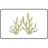 Name Badge Thumbnail