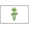 Name Badge Thumbnail