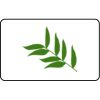 Name Badge Thumbnail