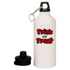 20 oz Aluminum Water Bottle with Carabiner Thumbnail