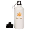 20 oz Aluminum Water Bottle with Carabiner Thumbnail