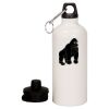 20 oz Aluminum Water Bottle with Carabiner Thumbnail