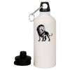20 oz Aluminum Water Bottle with Carabiner Thumbnail